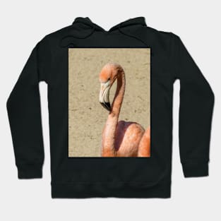 Flamingo Hoodie